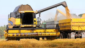 В России собрали уже свыше 151 миллиона тонн зерна